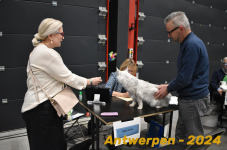 Antwerpen 207