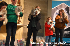 Antwerp 2022306