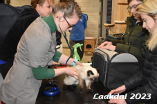 Laakdal 2023 070