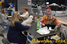 Antwerpen 224