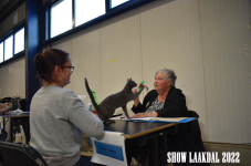 Show Laakdal 2022 0401