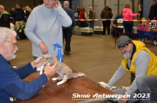 Schow Antwerpen 2023 070