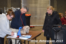 Schow Antwerpen 2023 045