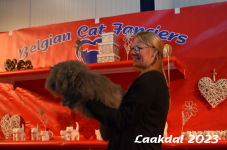 Laakdal 2023 276