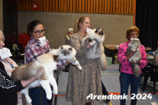 Arendonk 2024 512