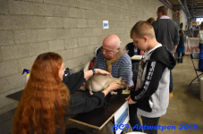 Antwerpen 2019DSC 0140