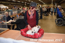 Schow Antwerpen 2023 187