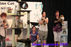 arendonk 2012 317