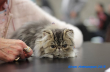 antw 2015 073