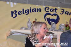 Schow Antwerpen 2023 386