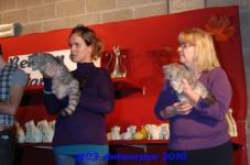 bcf antw 2010 089