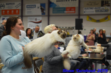 turnhout 2019-0445