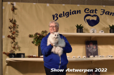 Antwerp 2022220