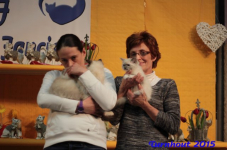 turnhout20150286