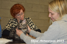 Schow Antwerpen 2023 263