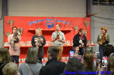 turnhout 2019-0403