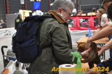 Antwerpen 034