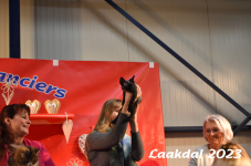 Laakdal 2023 454
