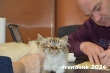 Arendonk 2024 226