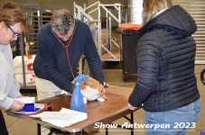 Schow Antwerpen 2023 061