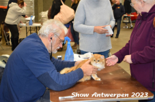 Schow Antwerpen 2023 059