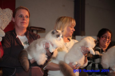 bcf antw 2010 227