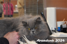 Arendonk 2024 354