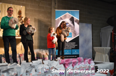 Antwerp 2022299