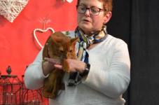 Katttenshow Arendonk 2020 DSC 0630