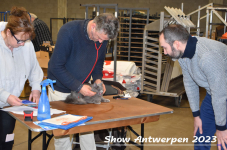 Schow Antwerpen 2023 100