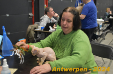 Antwerpen 256
