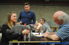 antwerp 2018 0484