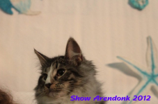 arendonk 2012 337