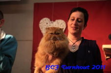 bcf antw 2010 166