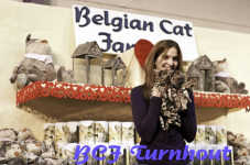  bcf ant 201197