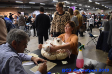 Antwerpen 2019DSC 0190