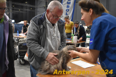 Antwerpen 045