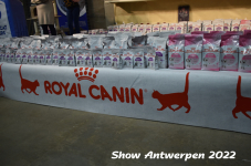 Antwerp 2022200
