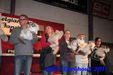 bcf antw 2010 224