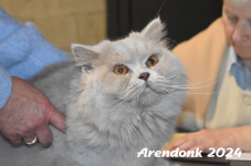 Arendonk 2024 374