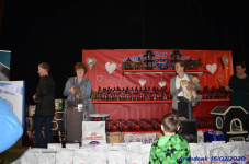 Katttenshow Arendonk 2020 DSC 0142