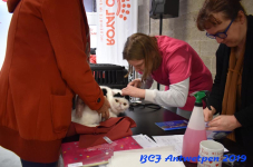 Antwerpen 2019DSC 0050