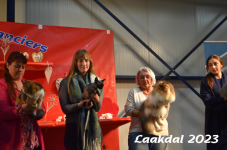 Laakdal 2023 448