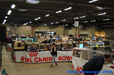 antwerp 2018 0433