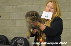 Antwerp 2022236