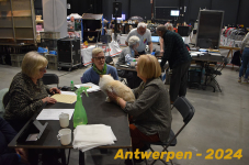 Antwerpen 180
