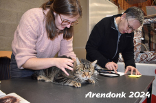 Arendonk 2024 091