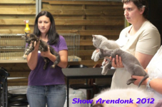 arendonk 2012 299