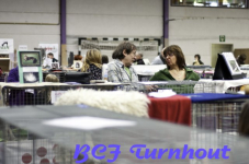  bcf ant 201161