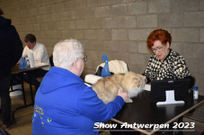 Schow Antwerpen 2023 155